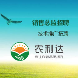 丽江人才网最新招聘动态，探寻职业发展新机遇之窗