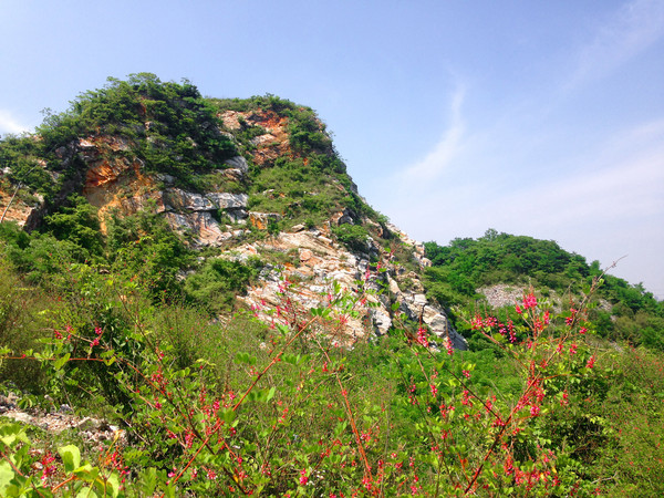 常州小黄山新篇章揭秘，最新消息揭开神秘面纱