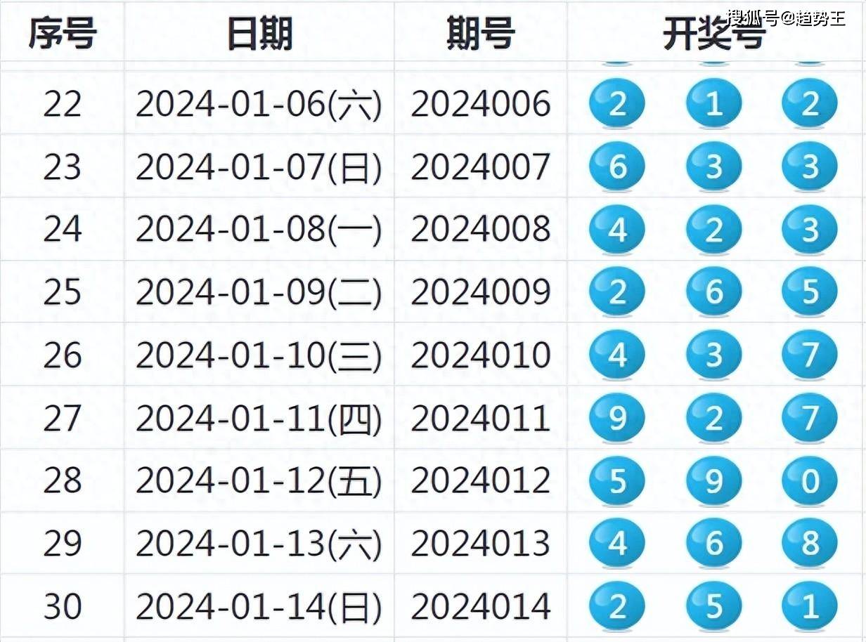 2024年开奖结果,实际应用解析说明_优选版57.80