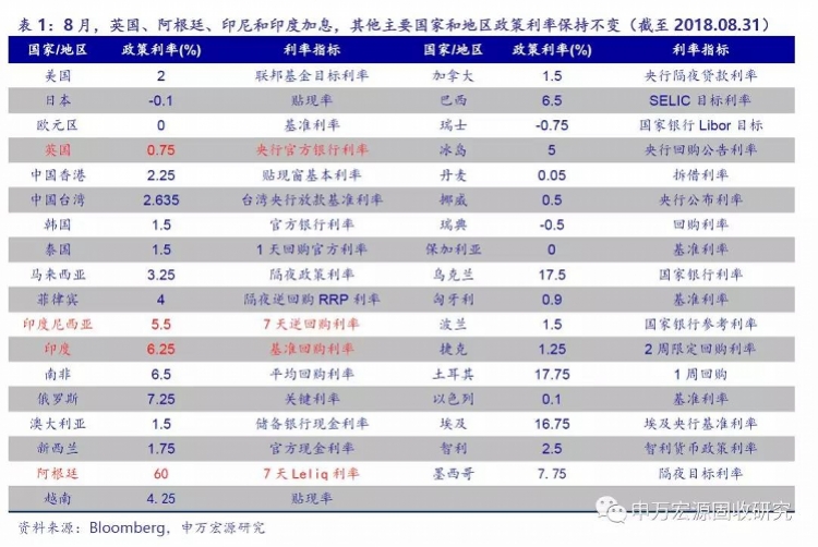 新奥2024年精准资料,收益成语分析落实_娱乐版305.210