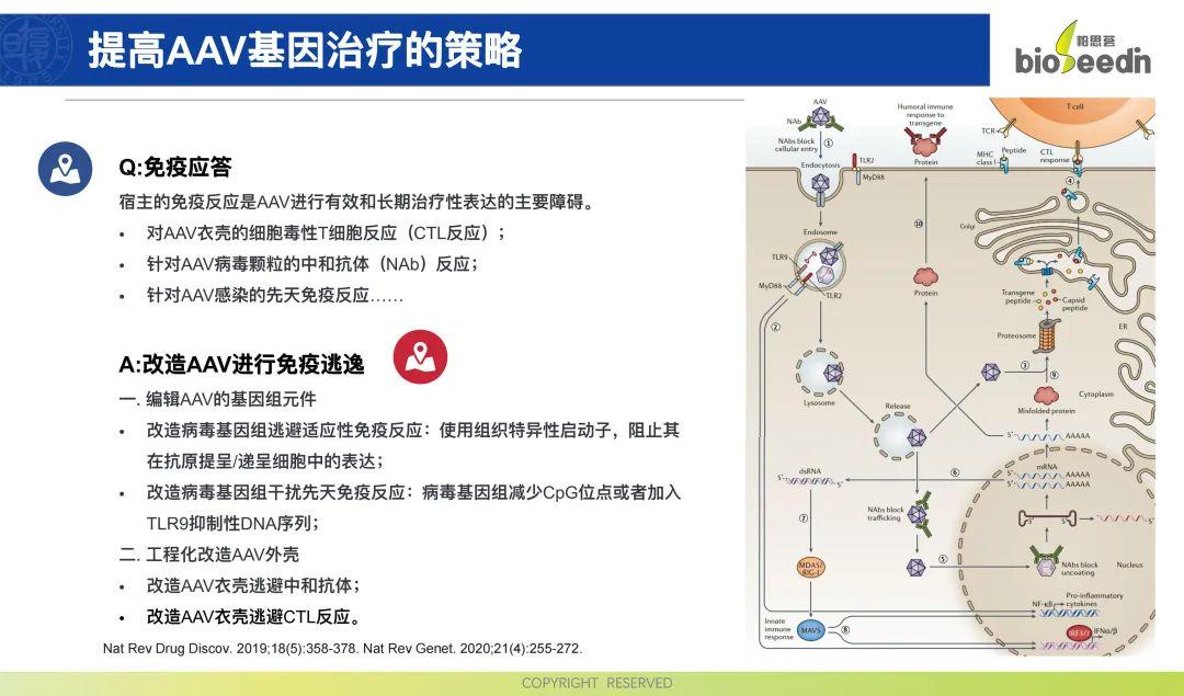 最新AAV9治疗DMD患者的进展及前景展望