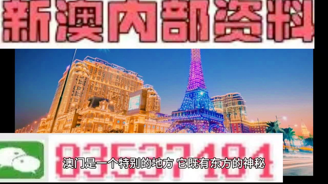 2024新澳门跑狗图今晚特,专业解析说明_P版13.469