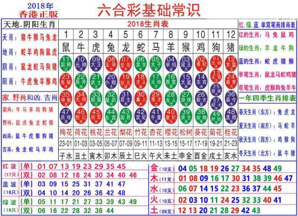 澳门正版资料大全资料生肖卡,专业调查解析说明_U50.374