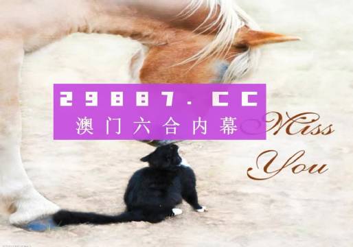 澳门开奖4949,绝对经典解释落实_专家版1.936