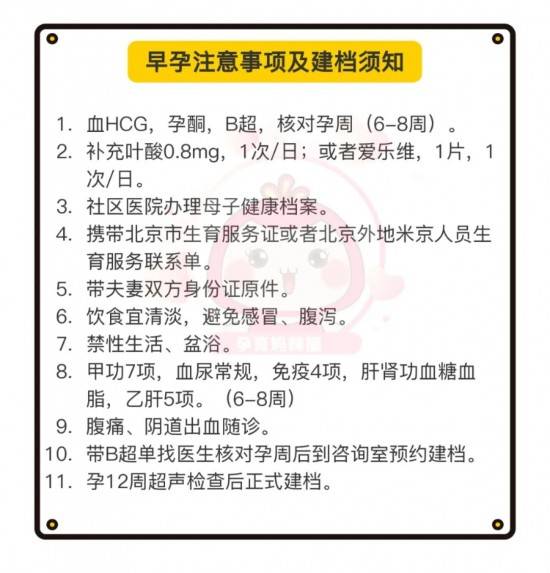 管家婆204年资料正版大全,实用性执行策略讲解_轻量版2.282