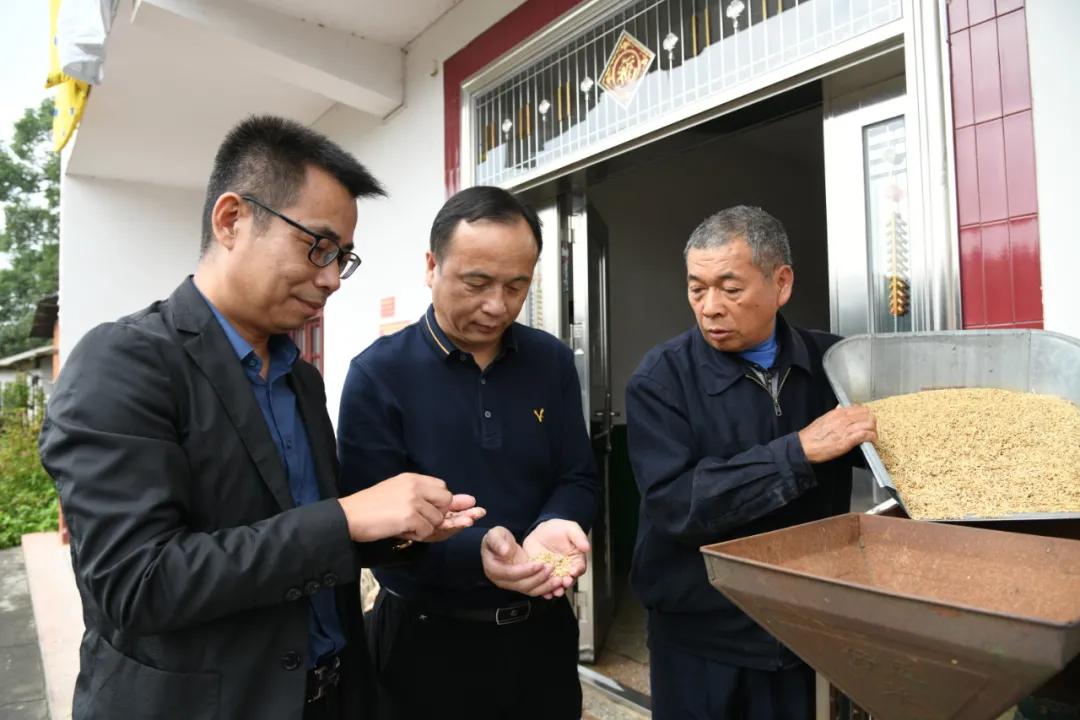 湘阴金龙镇探索最新发展之路，开启崭新篇章