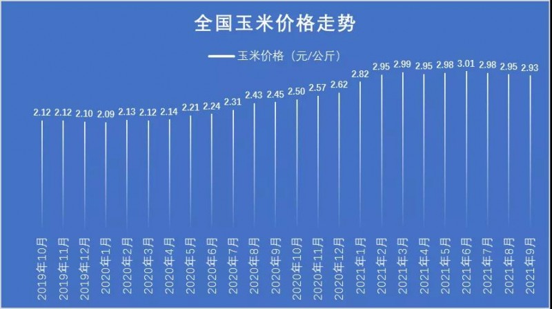 东北玉米价格最新走势解析