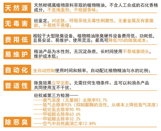 2024年11月5日 第13页