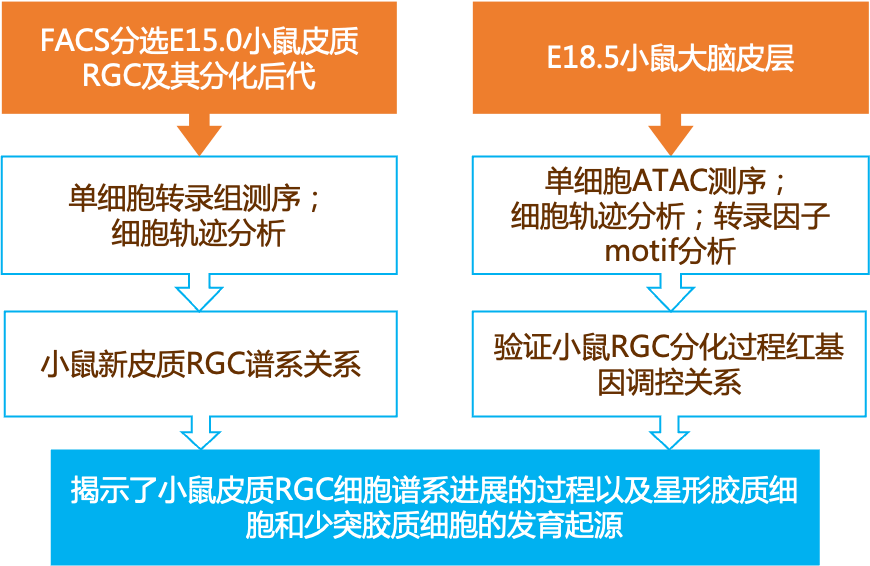 2024新澳最精准资料大全,实效性解析解读_yShop58.79