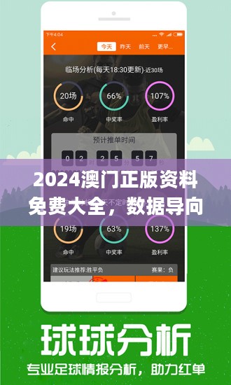 2024港澳免费资料,整体规划执行讲解_入门版2.928