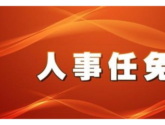 陇南市政府最新任命，城市发展新篇章开启