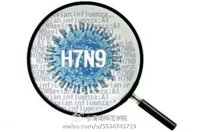 陕西H7N9疫情最新动态，全面应对，守护人民健康