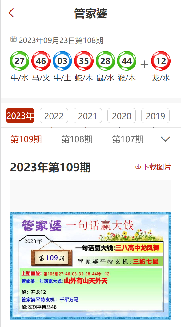 管家婆2024精准资料成语平特,数据分析说明_L版95.311