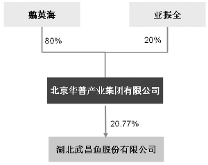 武昌鱼重组动态，企业转型与新发展机遇揭秘