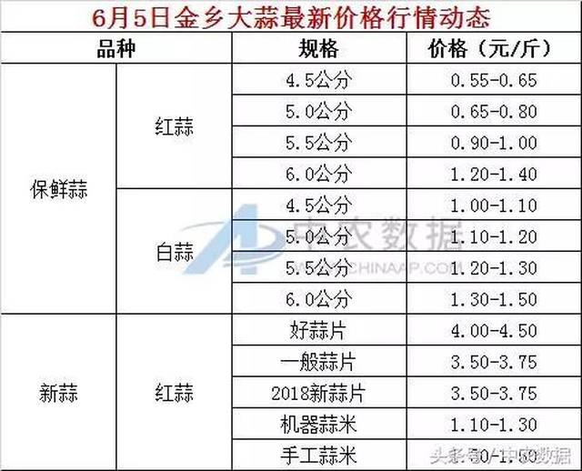 金乡县大蒜市场今日价格更新与动态分析