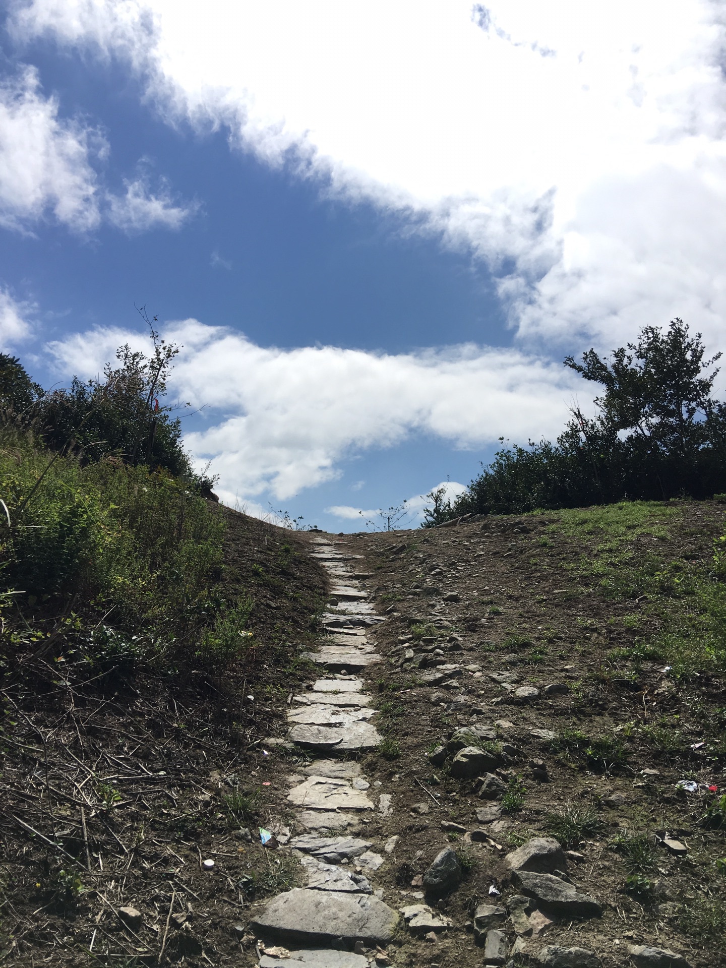 高天古道最新动态，揭开历史面纱，探寻未来轨迹