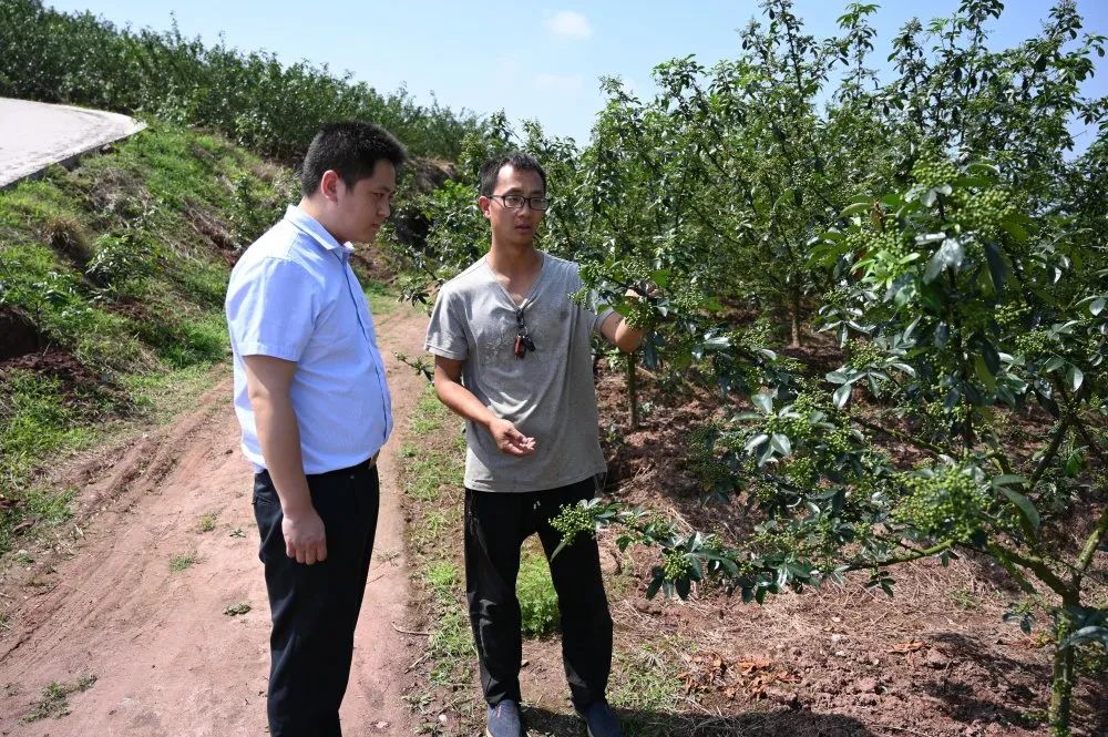 合川毛荣志的最新动态与成就探寻，涉政话题解析